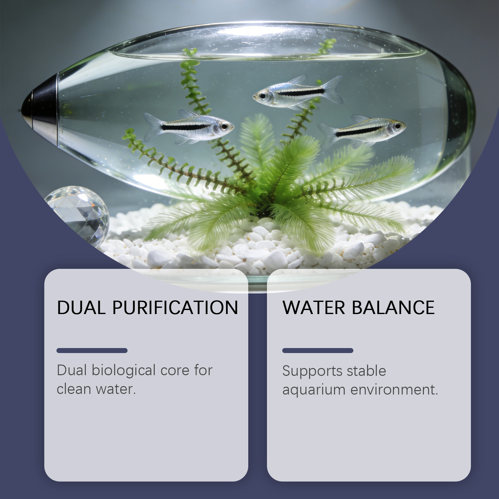 Comprimidos Removedores de Alg - Planted Aquarium Cloudy Water avaliação e preço