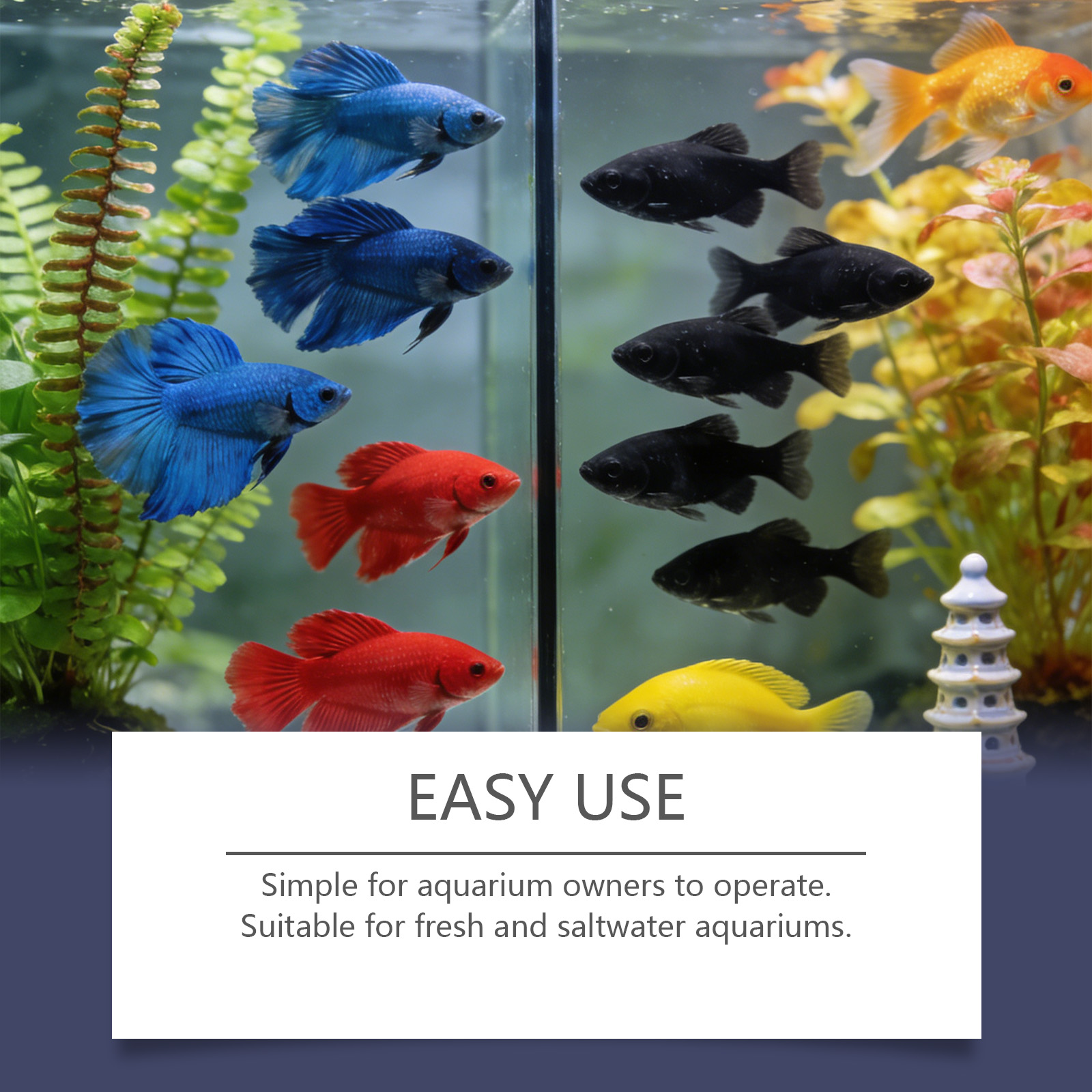 Comprimidos Removedores de Alg - Planted Aquarium Cloudy Water avaliação e preço