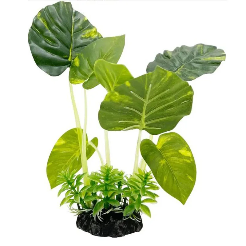 Pequena grama subaquática aquá - Aquarium Planted Background avaliação e preço