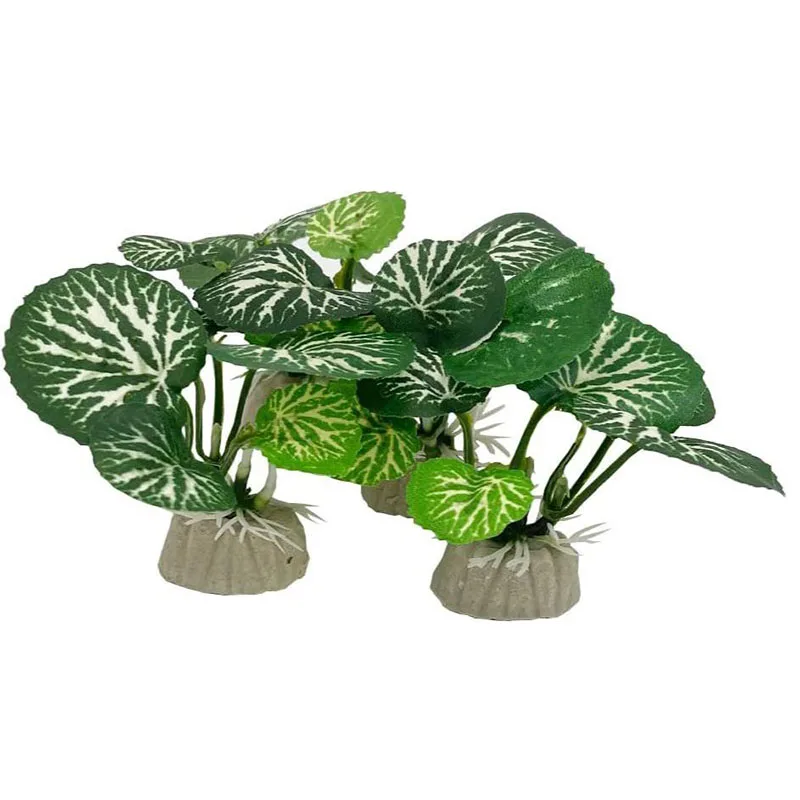 Pequena grama subaquática aquá - Aquarium Planted Background avaliação e preço