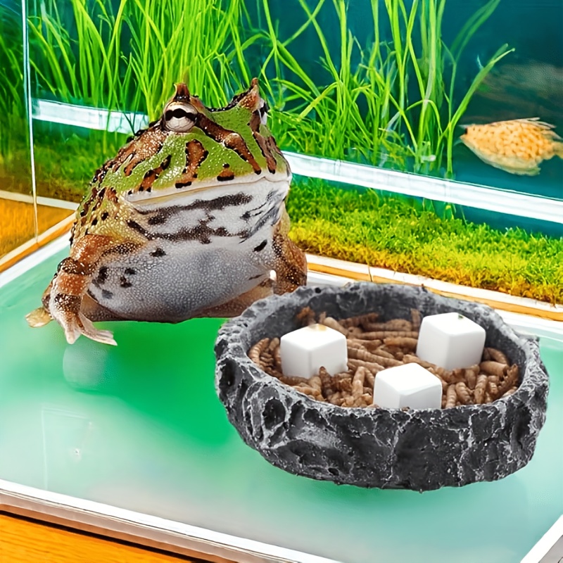 6 pçs tanque de peixes bloco d - Aquarium Plant Roots avaliação e preço